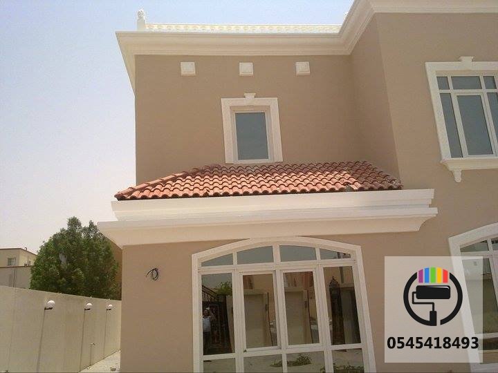 اصباغ خارجية